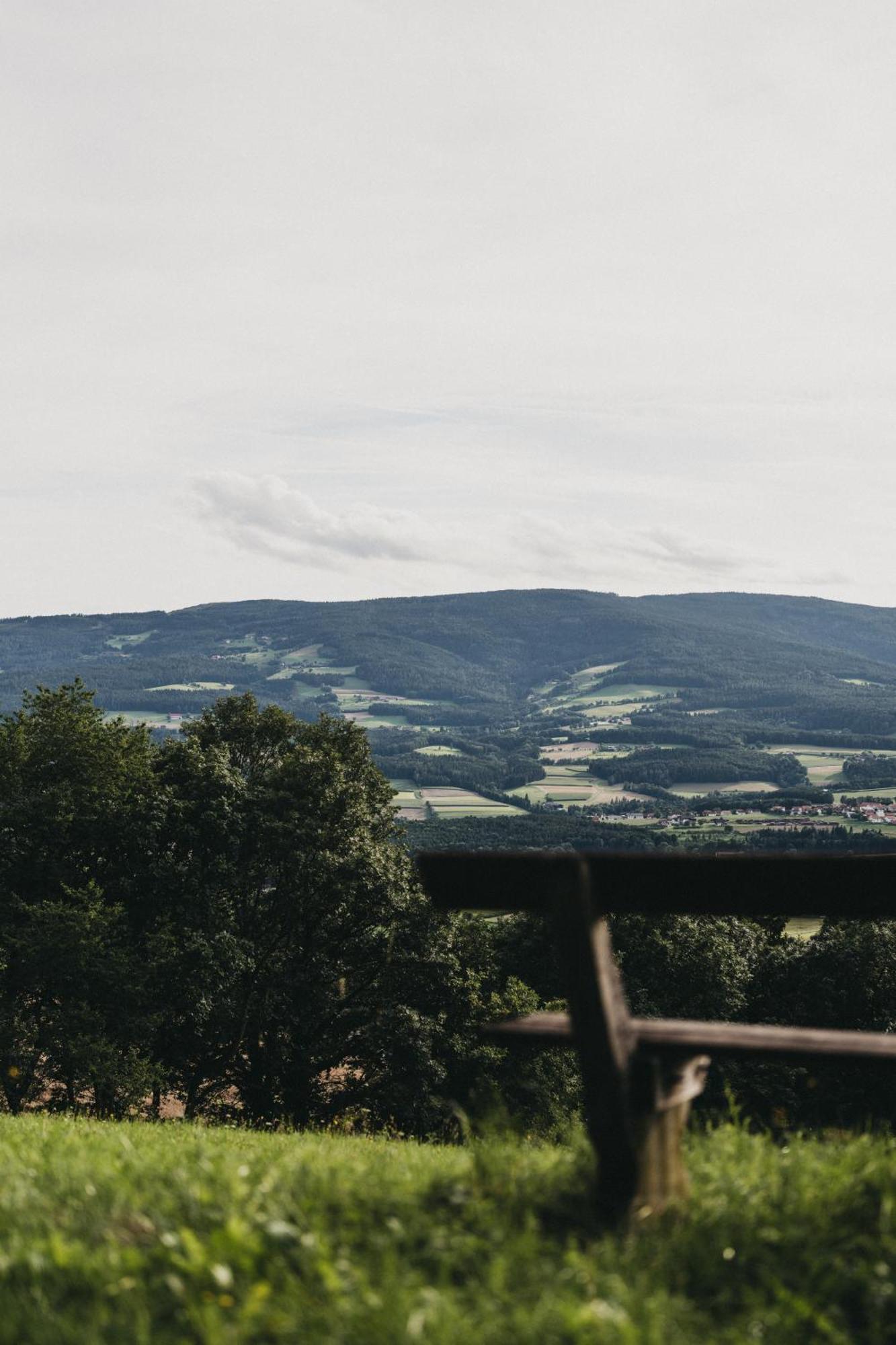 Hotel Muhr Pollauberg Bagian luar foto