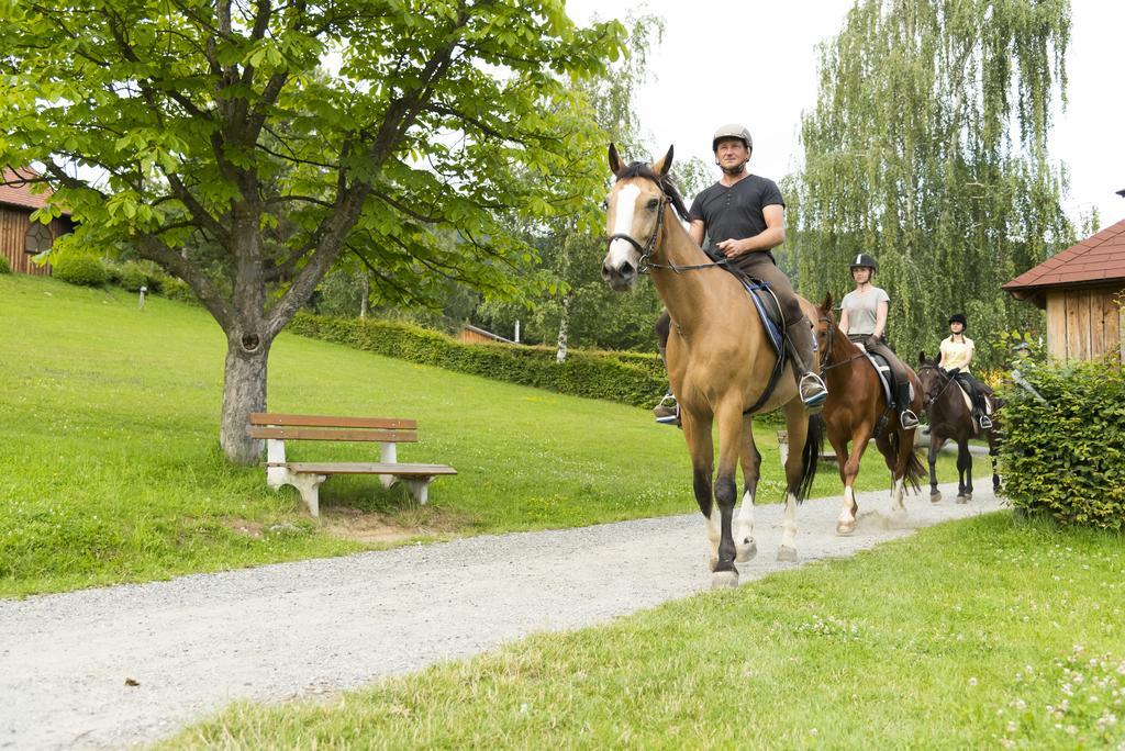 Hotel Muhr Pollauberg Bagian luar foto